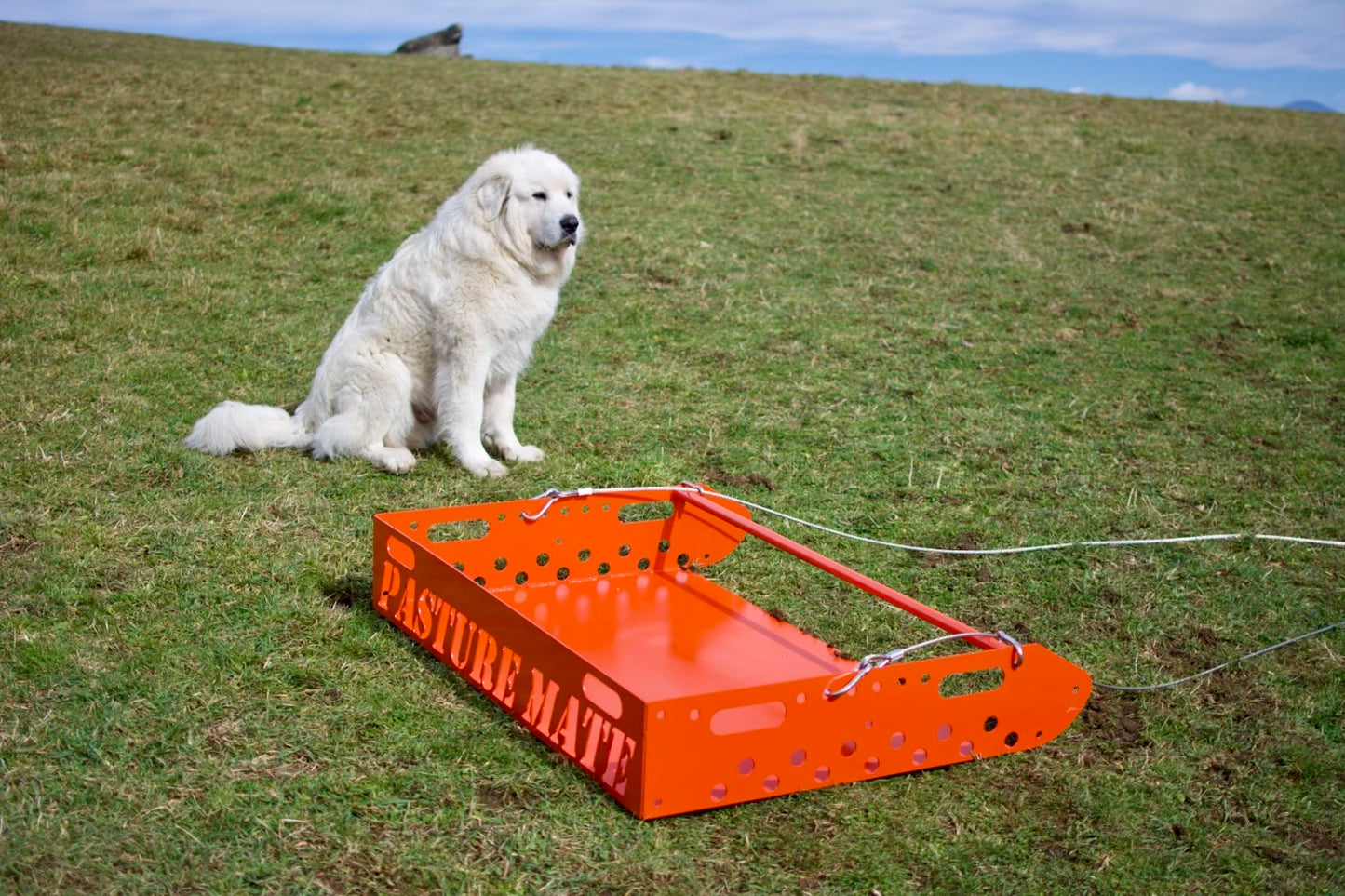 Pasture Mate - Manure Sled